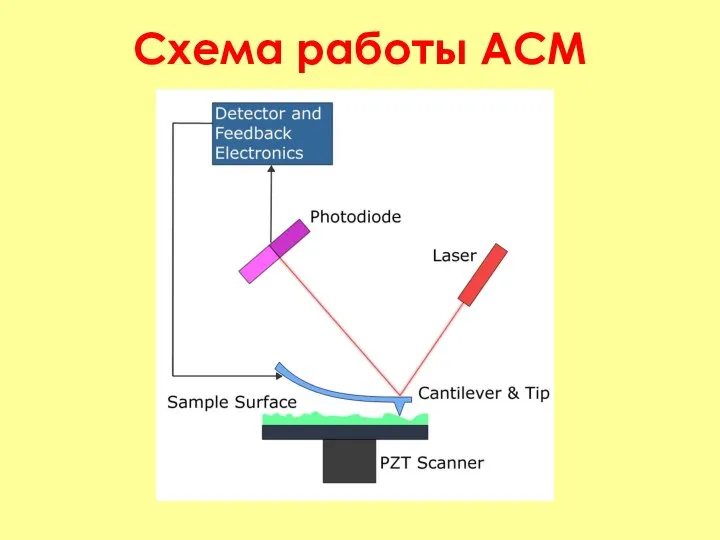 Схема работы АСМ