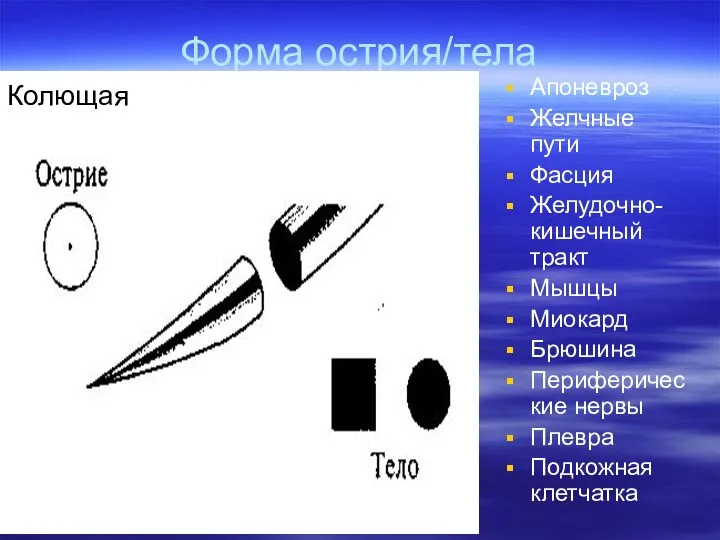 Форма острия/тела Апоневроз Желчные пути Фасция Желудочно-кишечный тракт Мышцы Миокард Брюшина