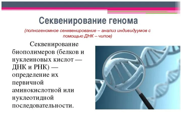 (полногеномное сенквенирование – анализ индивидуумов с помощью ДНК – чипов)