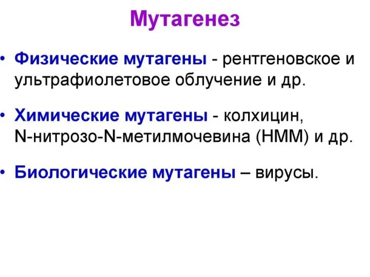 Выводили для того, чтобы улучшить качество мяса коров, и они действительно унаследовали лучшие качества производителей.