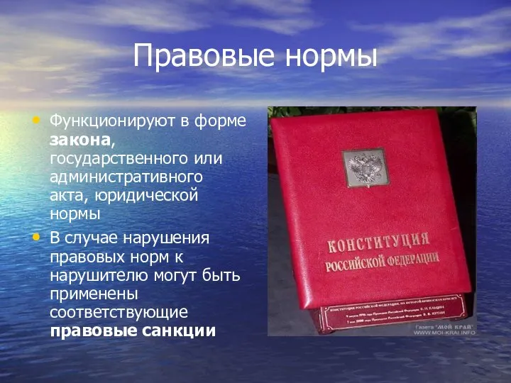 Правовые нормы Функционируют в форме закона, государственного или административного акта, юридической