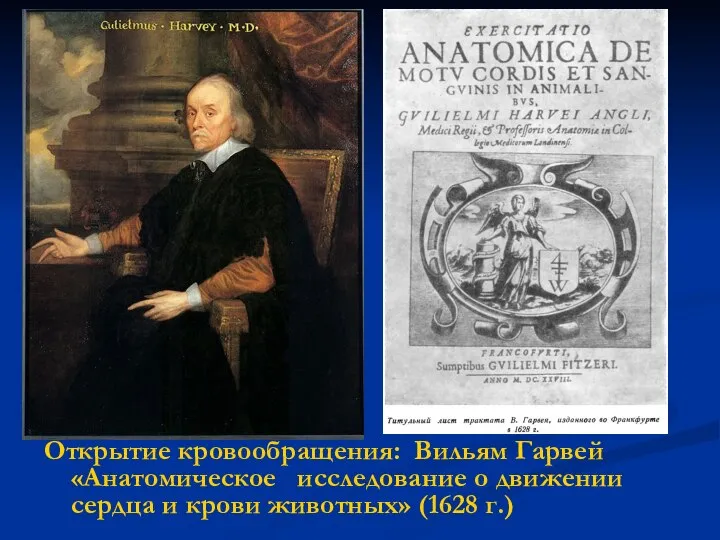 Открытие кровообращения: Вильям Гарвей «Анатомическое исследование о движении сердца и крови животных» (1628 г.)