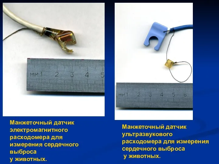 Манжеточный датчик электромагнитного расходомера для измерения сердечного выброса у животных. Манжеточный