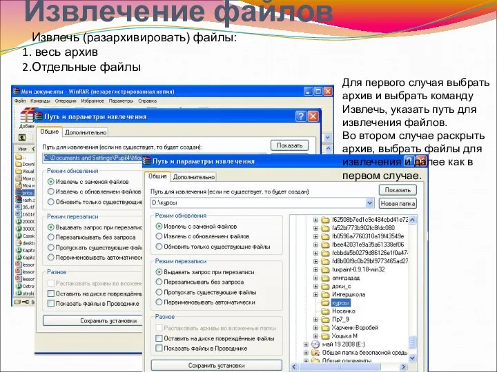 Извлечение файлов Извлечь (разархивировать) файлы: весь архив Отдельные файлы Для первого