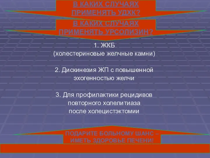 1. ЖКБ (холестериновые желчные камни) 2. Дискинезия ЖП с повышенной эхогенностью