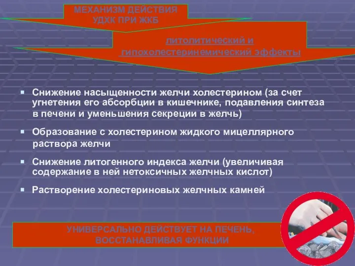 УНИВЕРСАЛЬНО ДЕЙСТВУЕТ НА ПЕЧЕНЬ, ВОССТАНАВЛИВАЯ ФУНКЦИИ литолитический и гипохолестеринемический эффекты Снижение