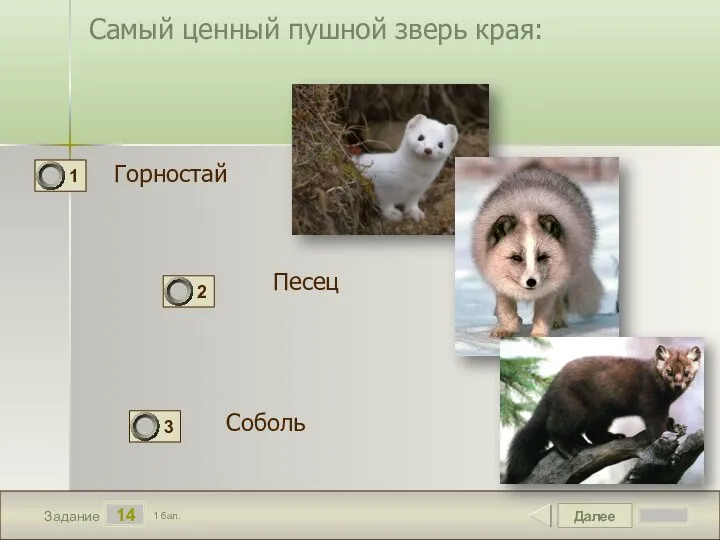 Далее 14 Задание 1 бал. Самый ценный пушной зверь края: Горностай Песец Соболь