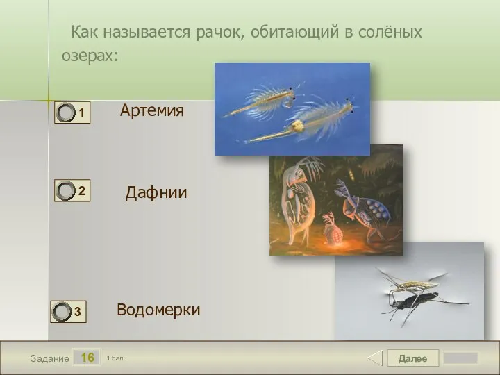 Далее 16 Задание 1 бал. Как называется рачок, обитающий в солёных озерах: Артемия Дафнии Водомерки