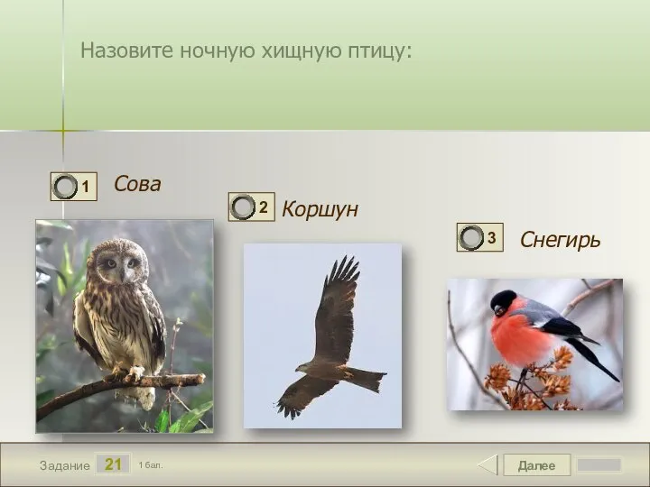 Далее 21 Задание 1 бал. Назовите ночную хищную птицу: Сова Коршун Снегирь