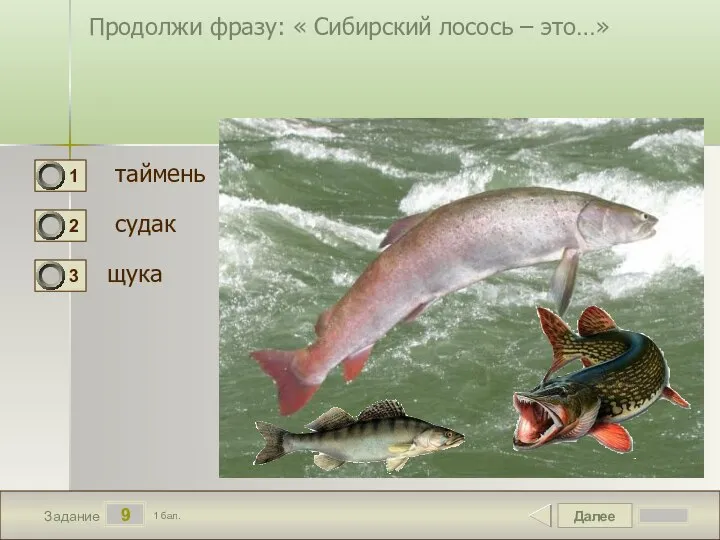 Далее 9 Задание 1 бал. Продолжи фразу: « Сибирский лосось – это…» таймень судак щука