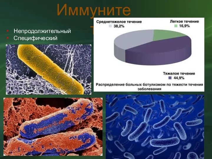 Иммунитет Непродолжительный Специфический