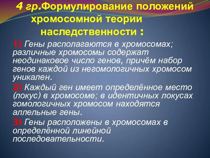 4 гр.Формулирование положений хромосомной теории наследственности : 1) Гены располагаются в