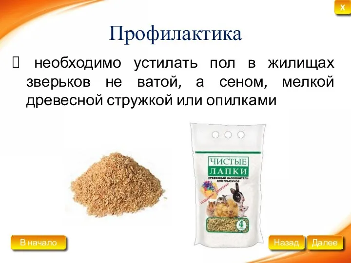 Профилактика необходимо устилать пол в жилищах зверьков не ватой, а сеном, мелкой древесной стружкой или опилками