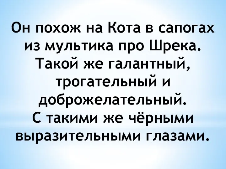 Он похож на Кота в сапогах из мультика про Шрека. Такой