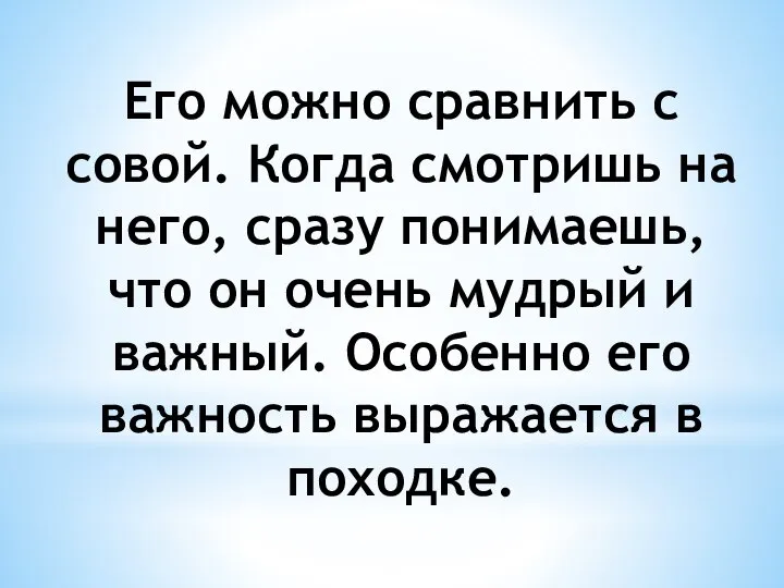 Его можно сравнить с совой. Когда смотришь на него, сразу понимаешь,