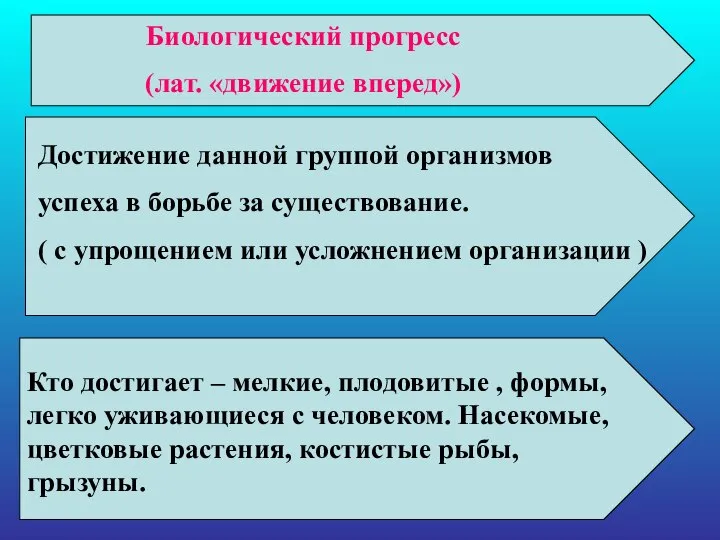 Биологический прогресс (лат. «движение вперед») Достижение данной группой организмов успеха в