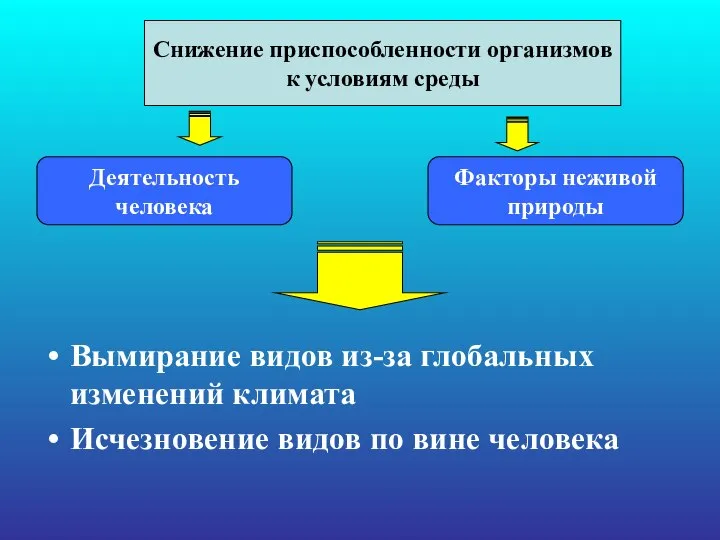 Вымирание видов из-за глобальных изменений климата Исчезновение видов по вине человека