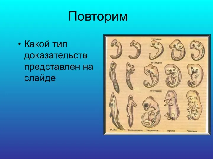 Повторим Какой тип доказательств представлен на слайде