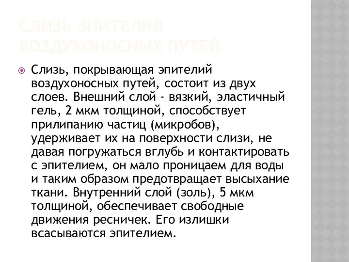 СЛИЗЬ ЭПИТЕЛИЯ ВОЗДУХОНОСНЫХ ПУТЕЙ Слизь, покрывающая эпителий воздухоносных путей, состоит из