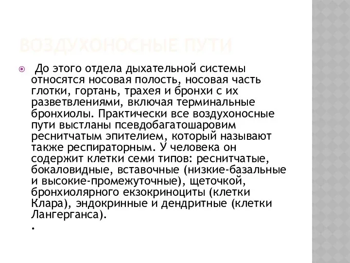 ВОЗДУХОНОСНЫЕ ПУТИ До этого отдела дыхательной системы относятся носовая полость, носовая