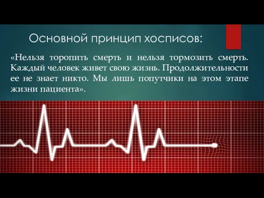 Основной принцип хосписов: «Нельзя торопить смерть и нельзя тормозить смерть. Каждый