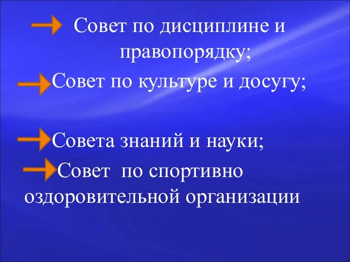 Совет по дисциплине и правопорядку; Совет по культуре и досугу; Совета