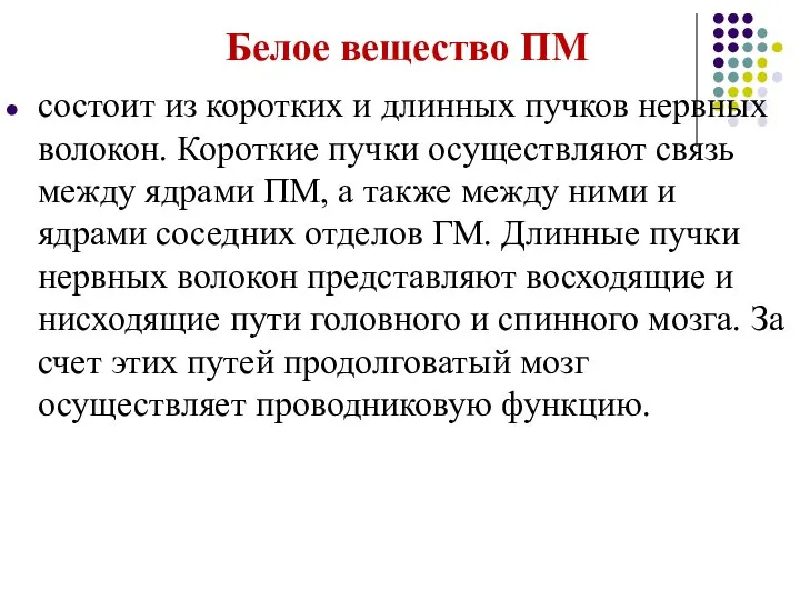 Белое вещество ПМ состоит из коротких и длинных пучков нервных волокон.