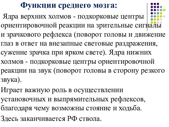 Функции среднего мозга: Ядра верхних холмов - подкорковые центры ориентировочной реакции