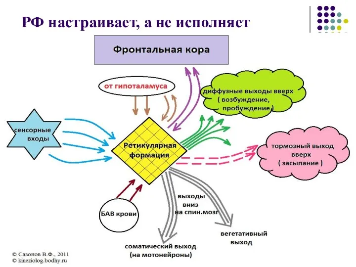 РФ настраивает, а не исполняет