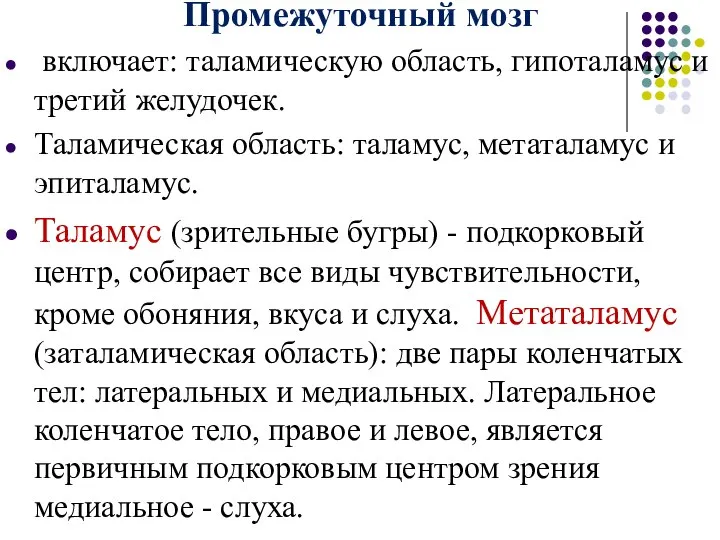 Промежуточный мозг включает: таламическую область, гипоталамус и третий желудочек. Таламическая область: