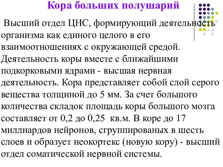 Кора больших полушарий Высший отдел ЦНС, формирующий деятельность организма как единого