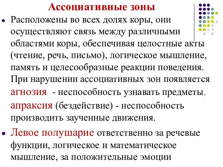 Ассоциативные зоны Расположены во всех долях коры, они осуществляют связь между