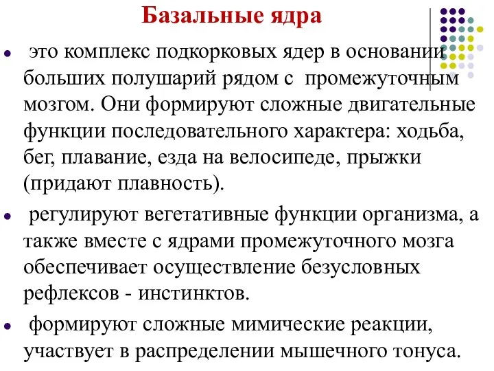 Базальные ядра это комплекс подкорковых ядер в основании больших полушарий рядом