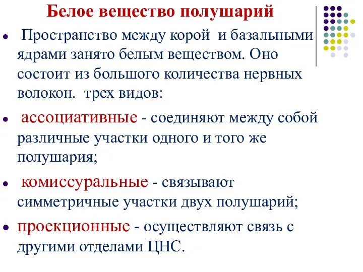 Белое вещество полушарий Пространство между корой и базальными ядрами занято белым