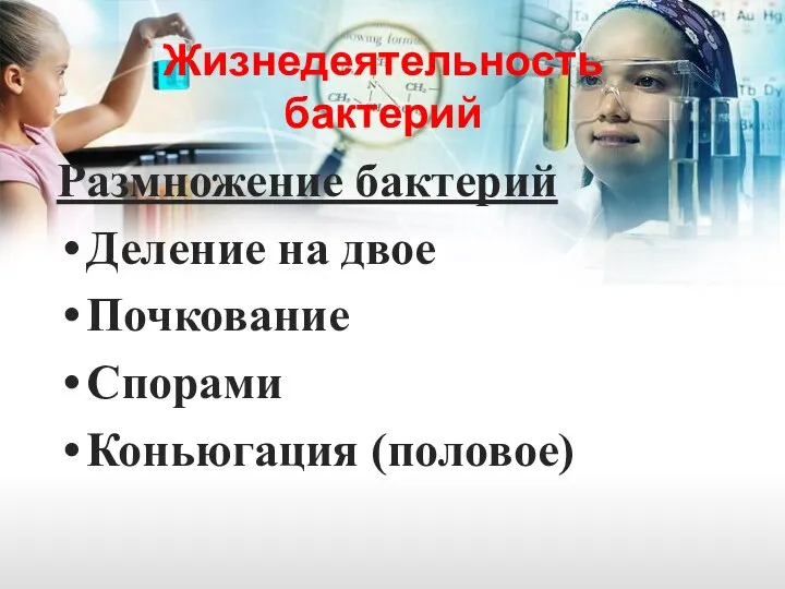 Жизнедеятельность бактерий Размножение бактерий Деление на двое Почкование Спорами Коньюгация (половое)