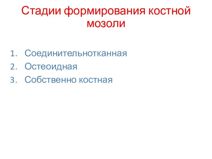 Соединительнотканная Остеоидная Собственно костная Стадии формирования костной мозоли