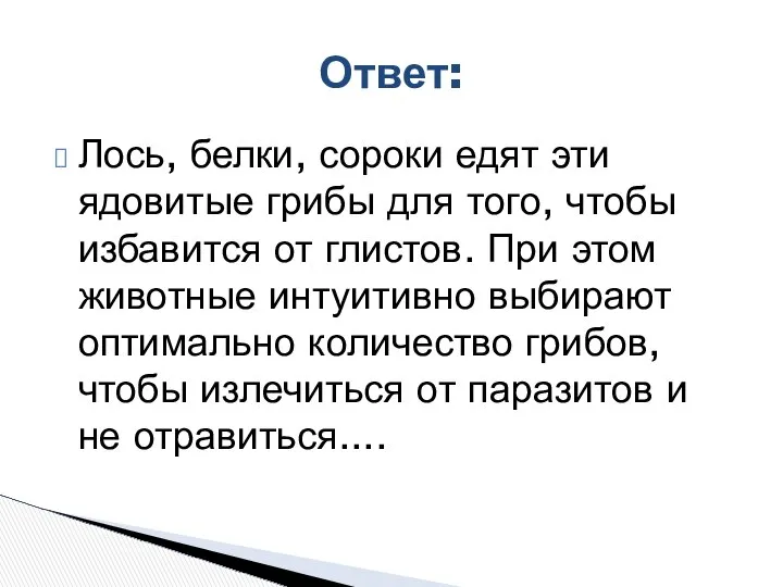 Лось, белки, сороки едят эти ядовитые грибы для того, чтобы избавится