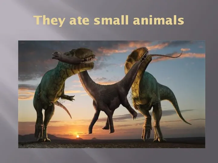 They ate small animals