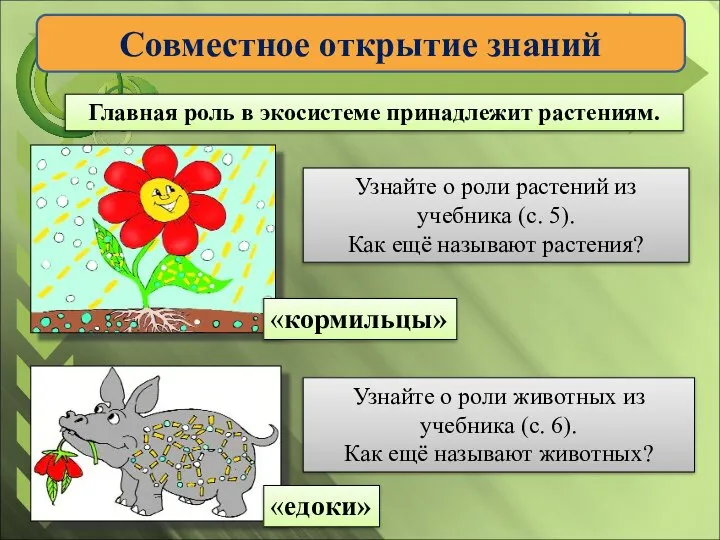 Совместное открытие знаний Главная роль в экосистеме принадлежит растениям. Узнайте о