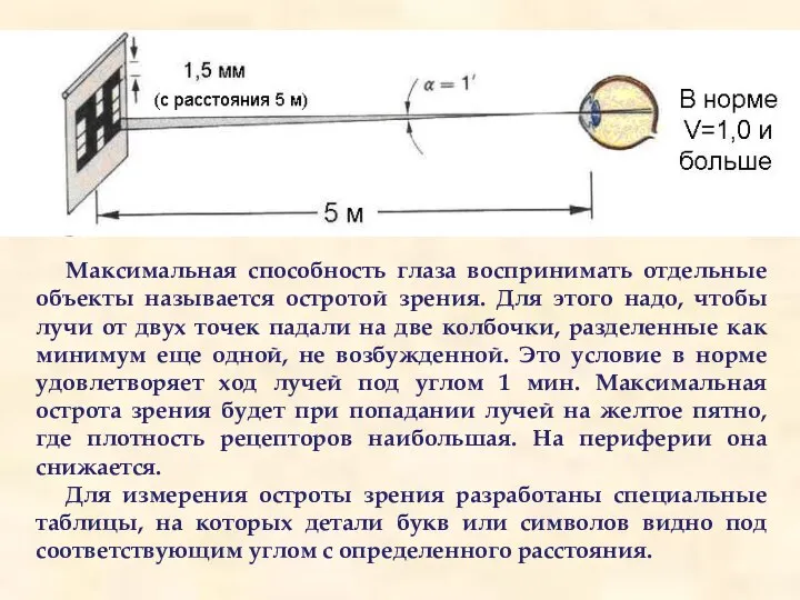 Максимальная способность глаза воспринимать отдельные объекты называется остротой зрения. Для этого