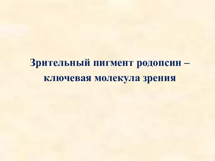 Зрительный пигмент родопсин – ключевая молекула зрения