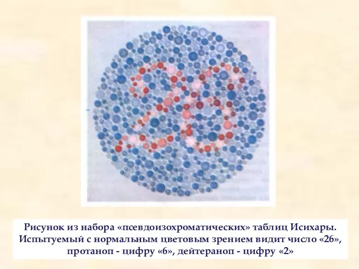 Рисунок из набора «псевдоизохроматических» таблиц Исихары. Испытуемый с нормальным цветовым зрением