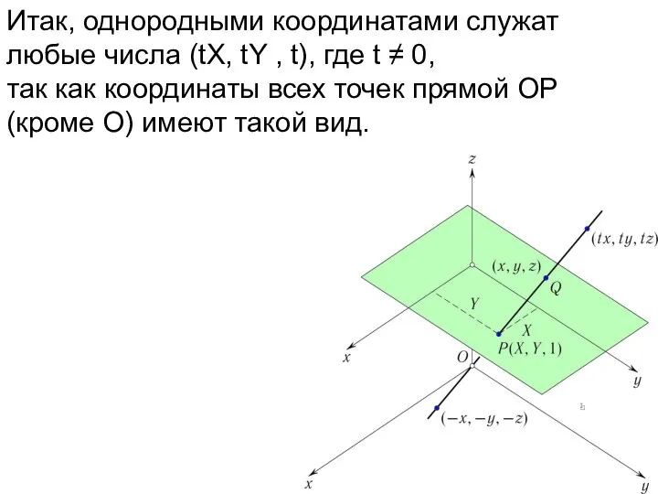 Итак, однородными координатами служат любые числа (tX, tY , t), где