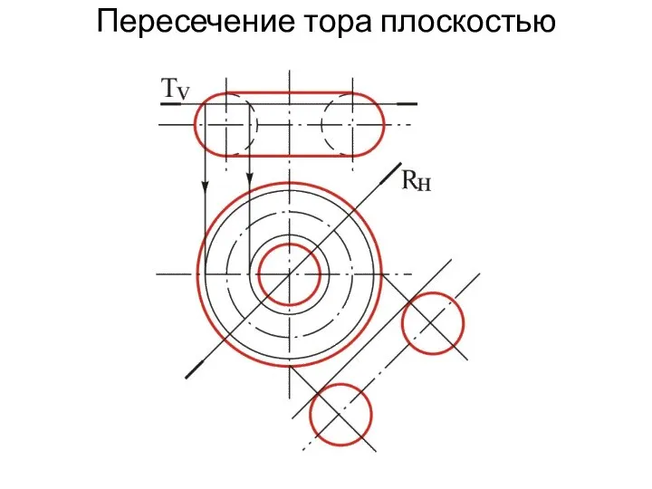 Пересечение тора плоскостью