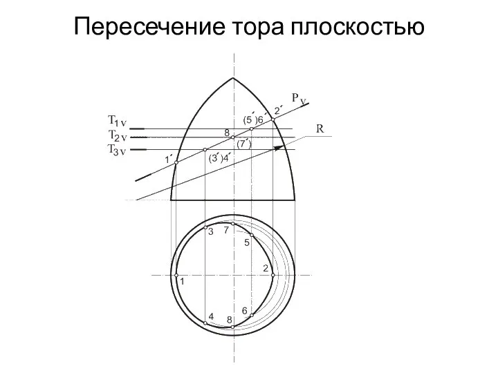 Пересечение тора плоскостью