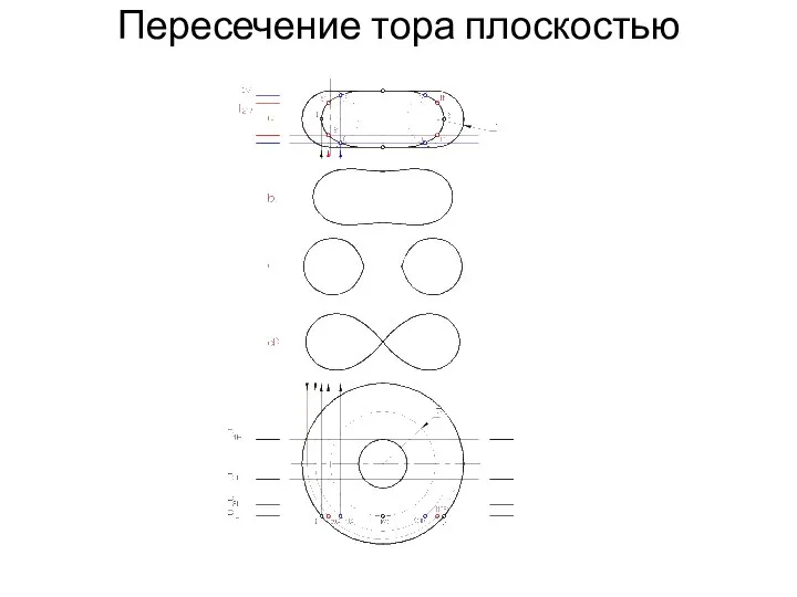 Пересечение тора плоскостью