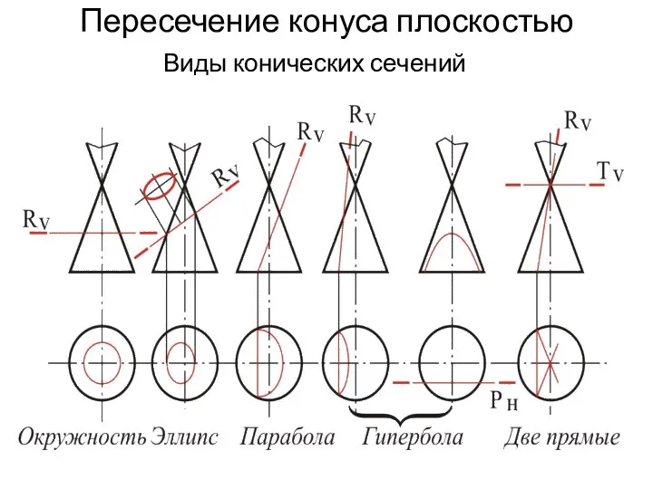 Пересечение конуса плоскостью Виды конических сечений