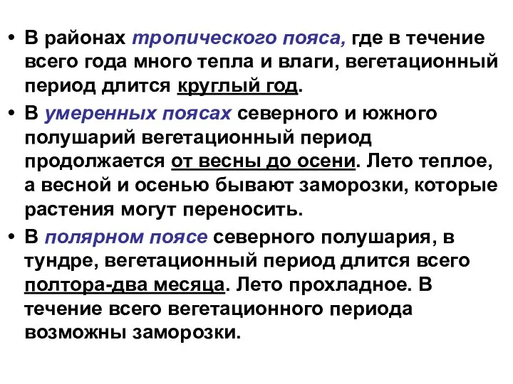 В районах тропического пояса, где в течение всего года много тепла