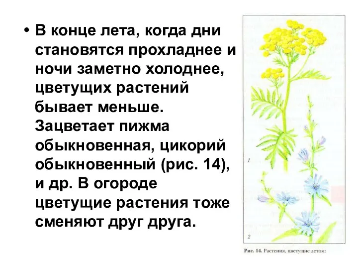 В конце лета, когда дни становятся прохладнее и ночи заметно холоднее,