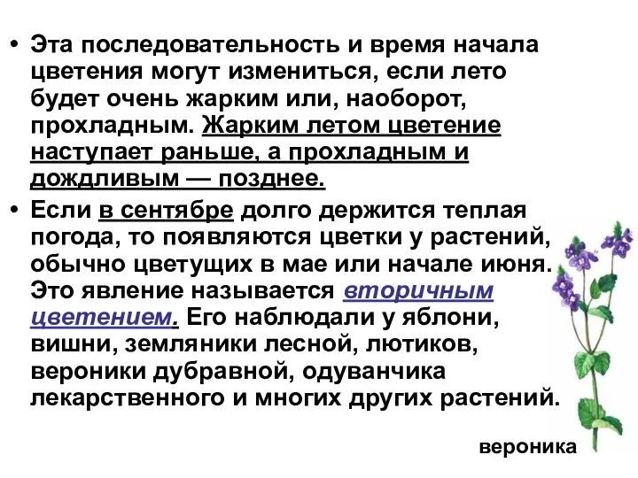 Эта последовательность и время начала цветения могут измениться, если лето будет